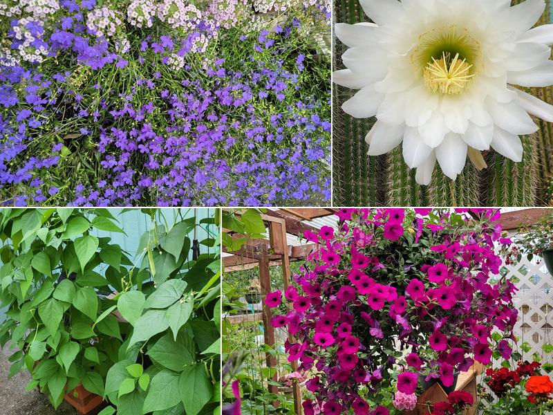 Marvin W Plunkett Locksmith