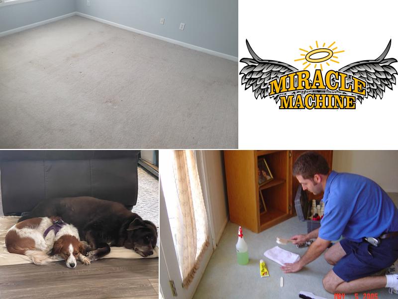 Miracle Machine Carpet Cleaning