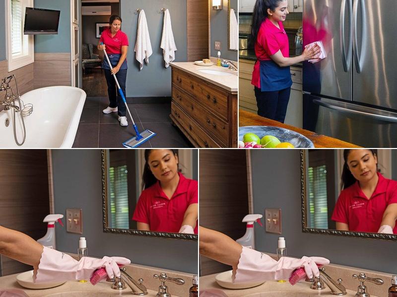 Molly Maid of East Mesa & Apache Junction