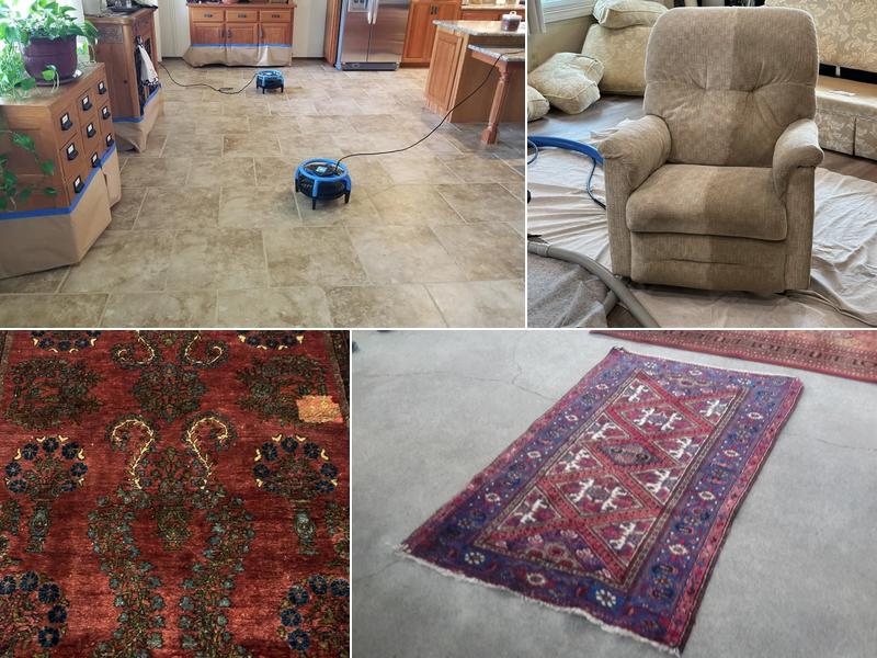 Twice as Nice Carpet & Upholstery Cleaning
