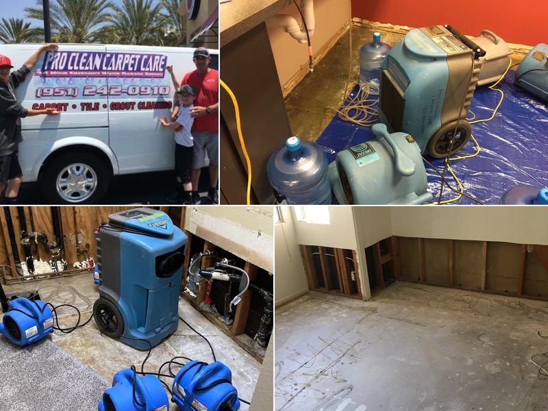 Pro clean carpet care