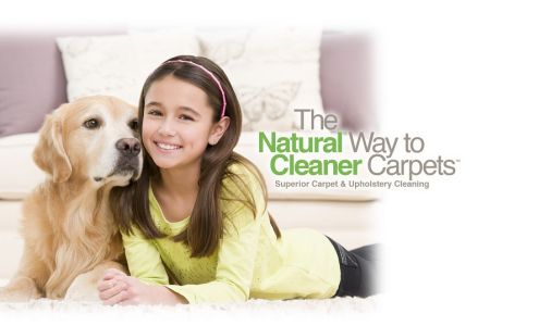 Chem-Dry Oasis: Carpet, Upholstery & Tile Cleaning 10952 Noble St, Cherry Valley California 92223