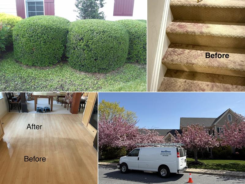 MountainFresh Carpet & Upholstery Cleaning