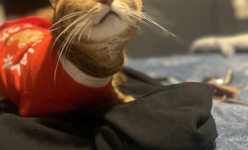 J&K House Cleaning Services