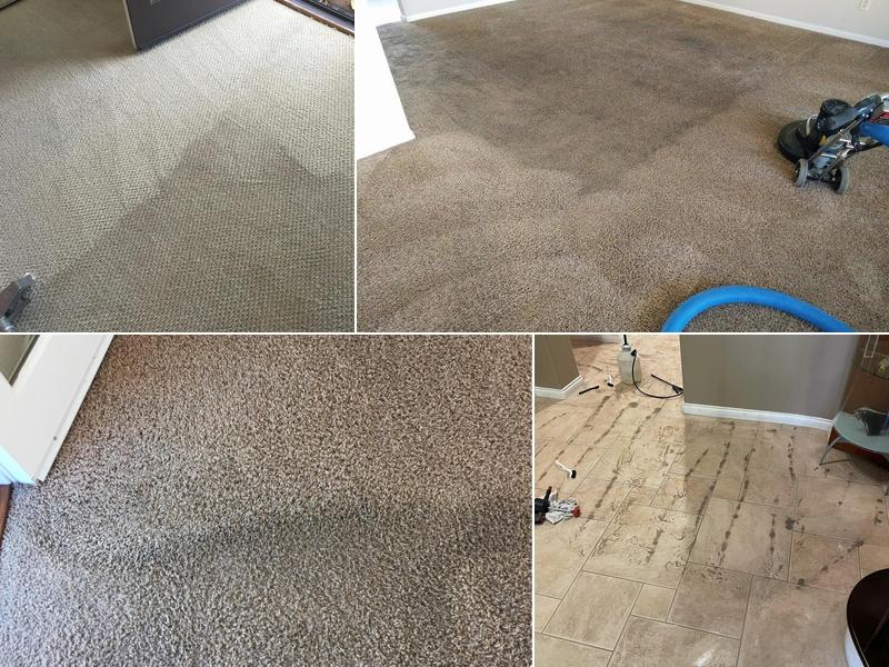 Silver Olas Carpet Tile Flood Cleaning