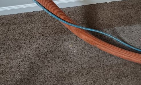 Servicemaxx carpet cleaning