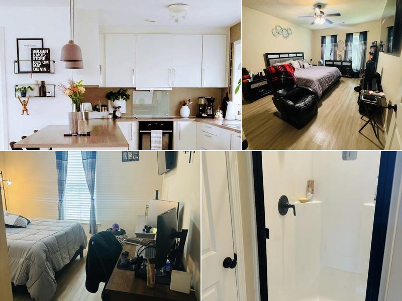 The Queen of cleaning multi-service llc