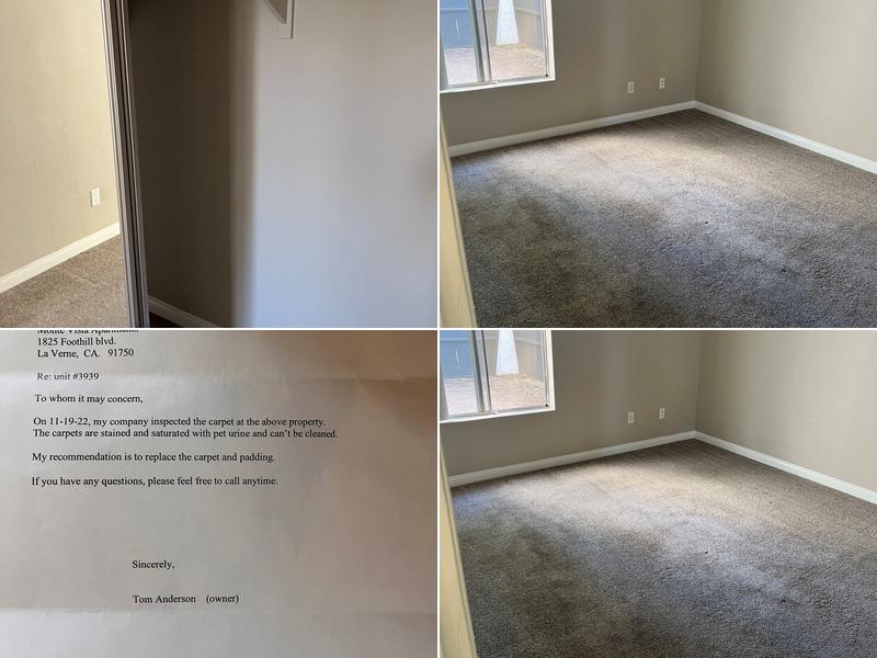 Anderson Carpet Service