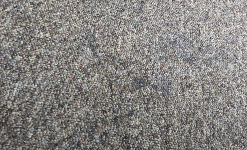 Kinney's Carpet Care