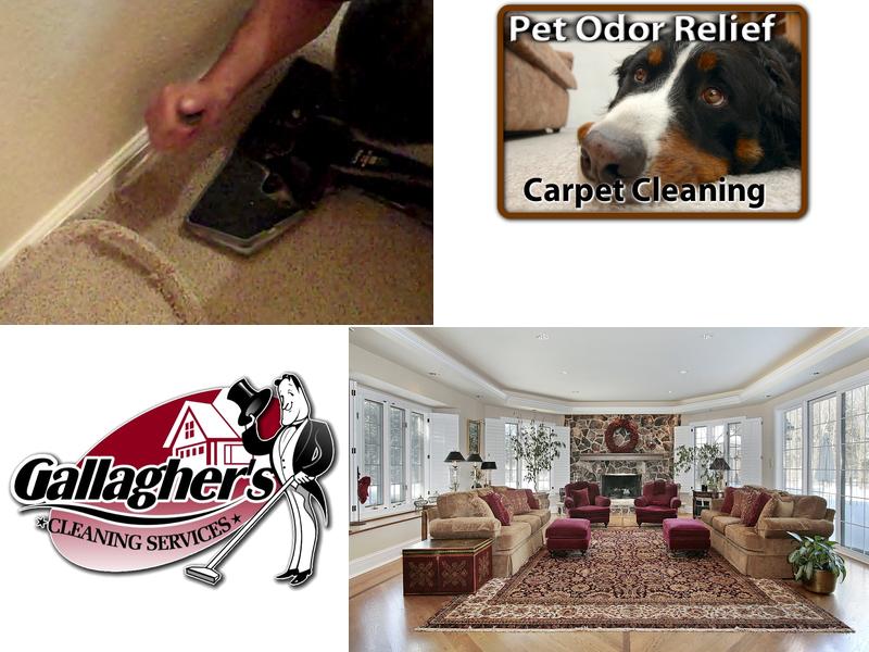 Gallagher's Carpet Care