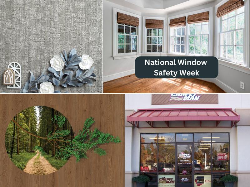 Carpet Man-Floors To Go