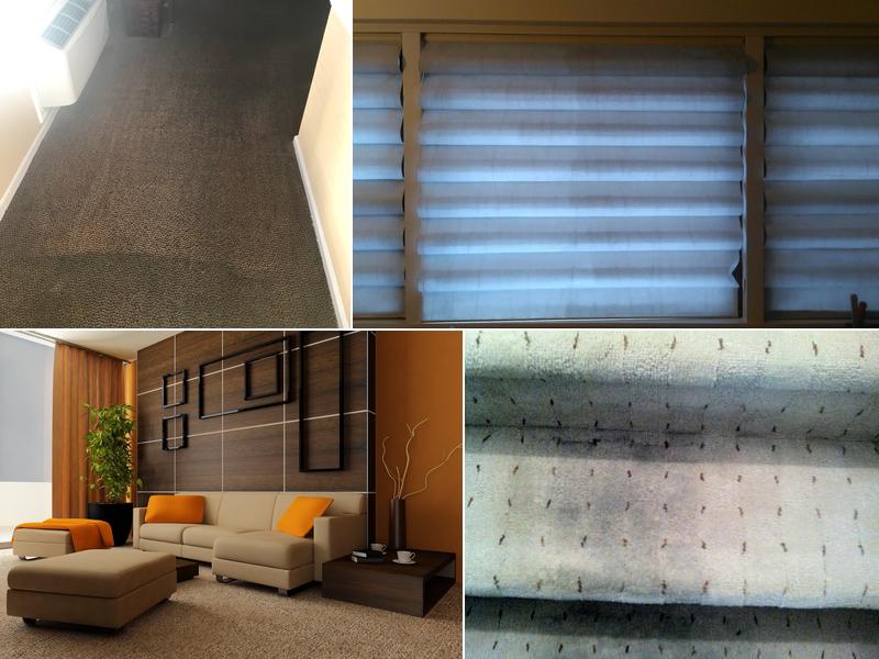 Green Solutions Carpet