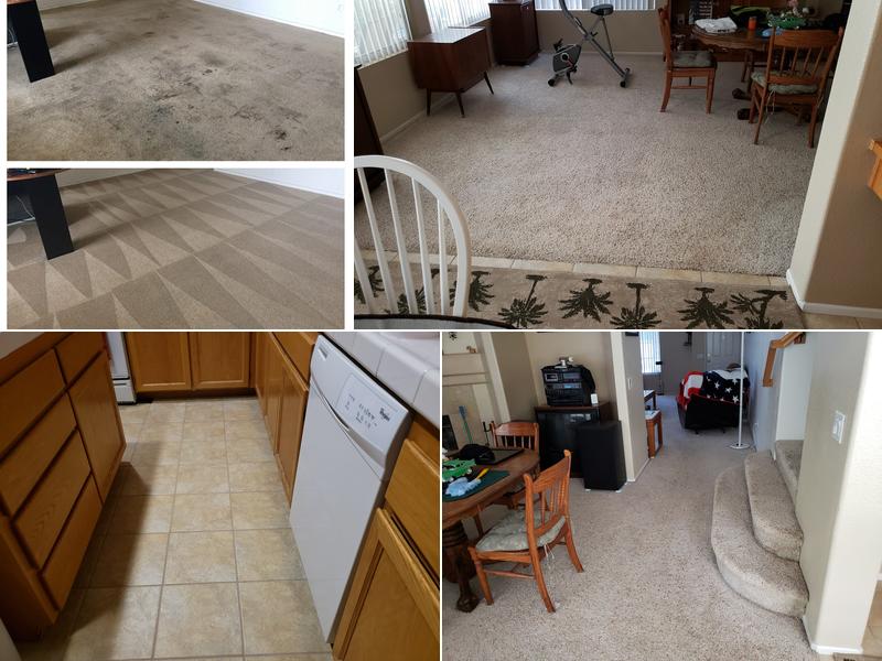 Xtraordinary Carpet Care