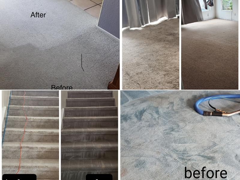 A1 Carpet Cleaning