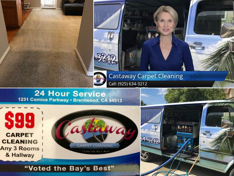 Castaway Carpet Cleaning