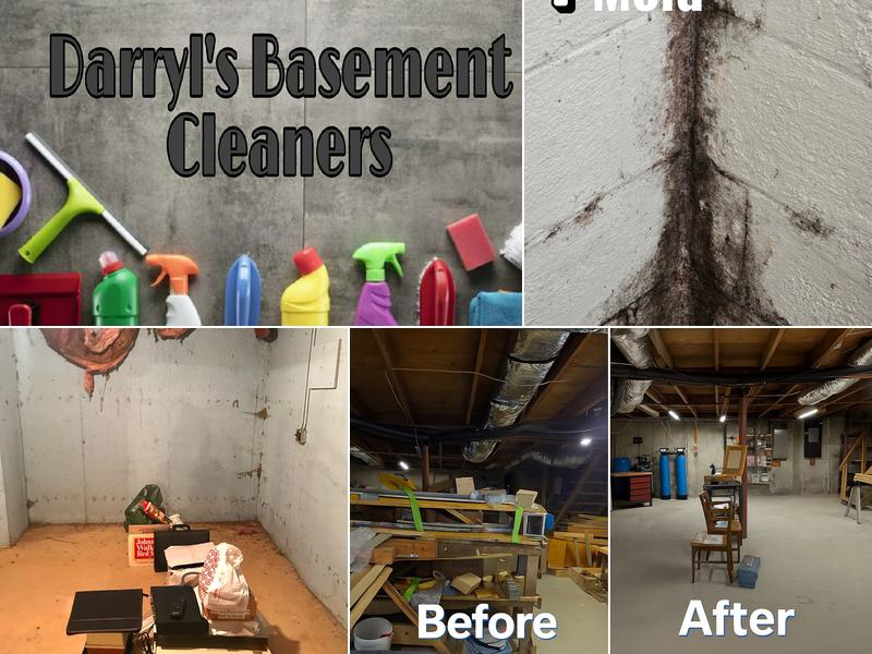 Darryl's Basement Cleaners