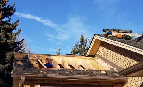 RJI Professionals Inc