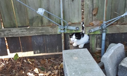 Beach Butler 96169 Parliament Dr, Fernandina Beach Florida 32034