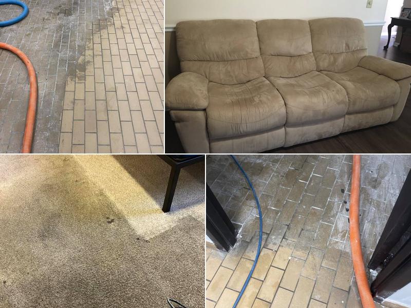 Absolute Clean Carpet & Upholstery