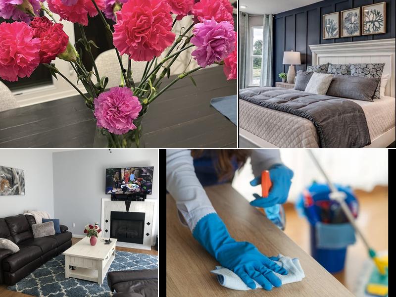 Sparkling Clean Maid