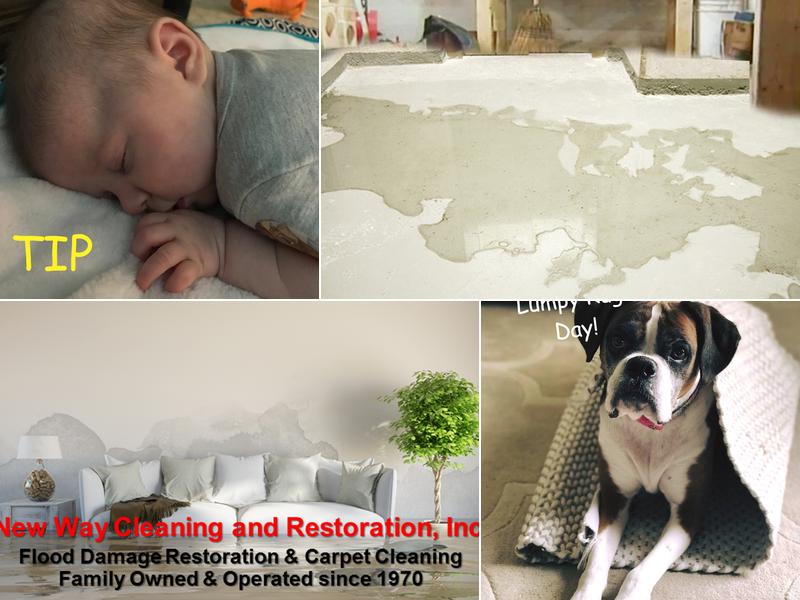 New Way Cleaning & Restoration, Inc.