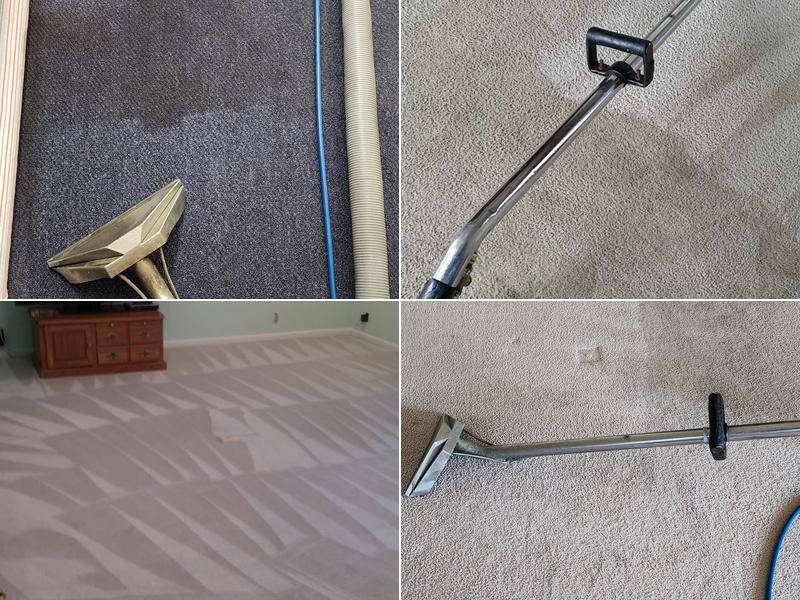 Clearwater Carpet Cleaning