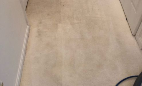 Carpet Cleaner Pro of Waldorf