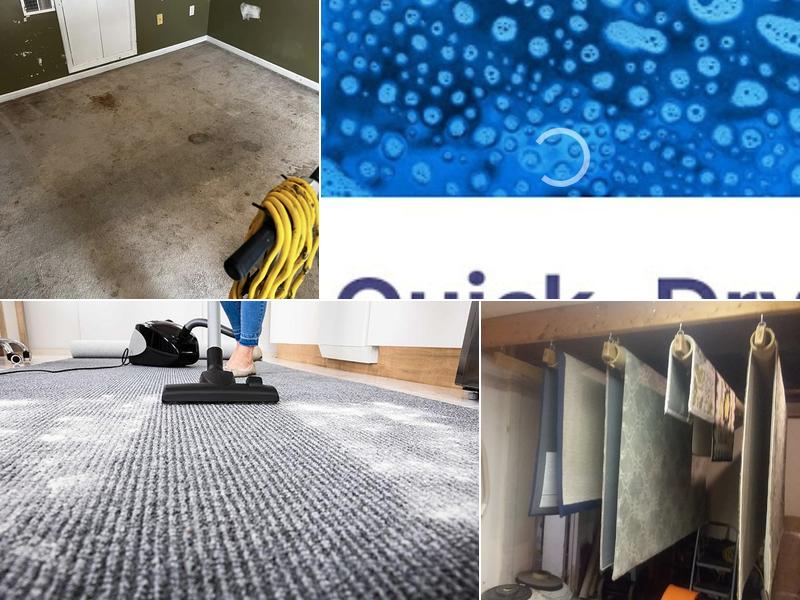 Quick'dry Carpet/Floor and Upholstery Cleaning