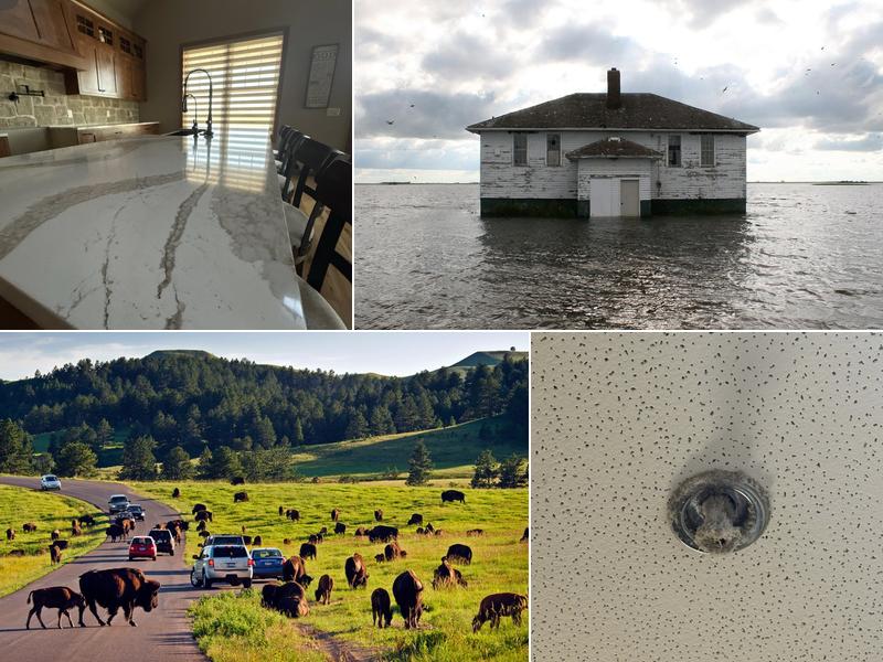 Mustang Disaster CleanUp