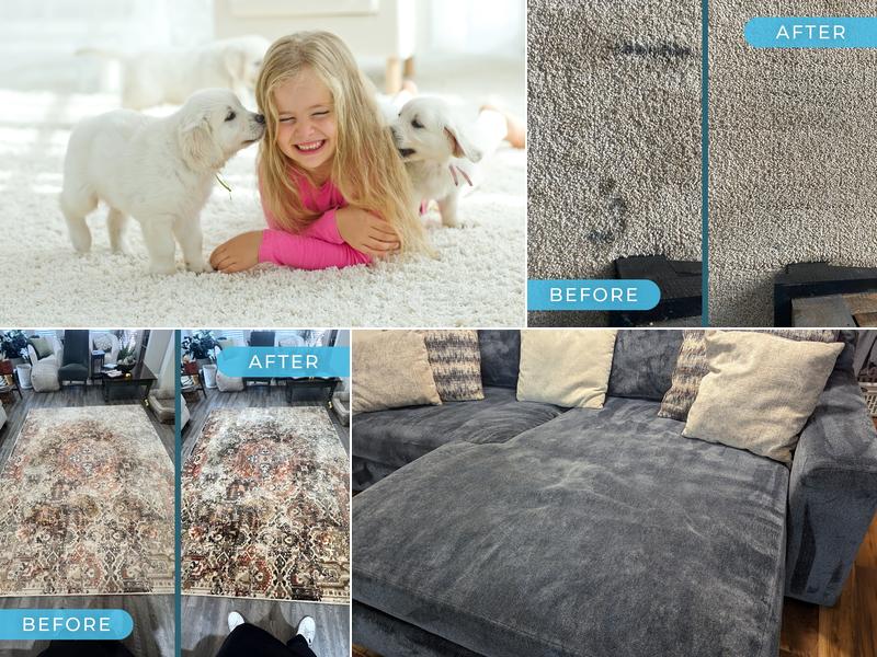 Angel Dry Carpet & Rug Cleaning