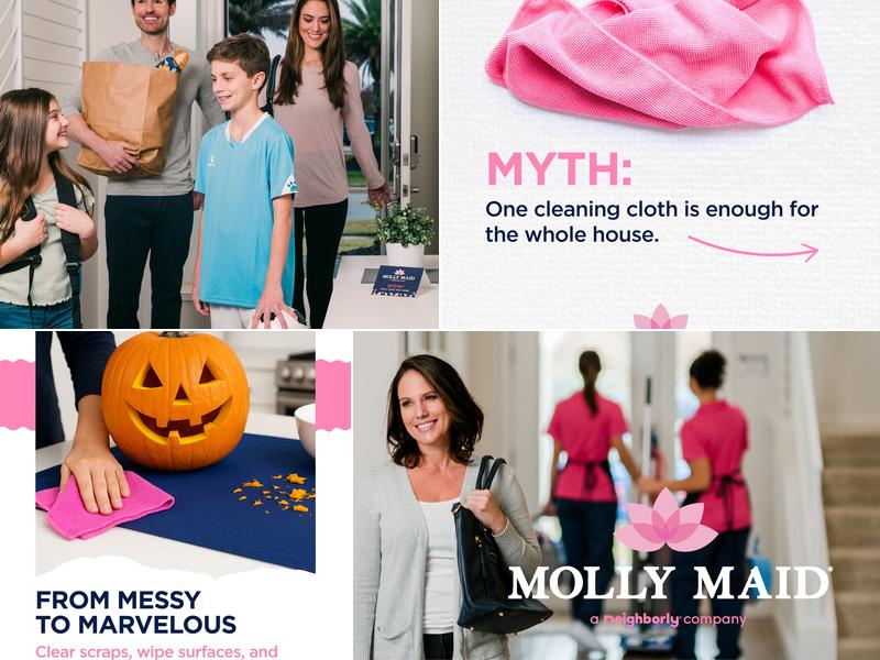 Molly Maid of San Antonio-Northwest