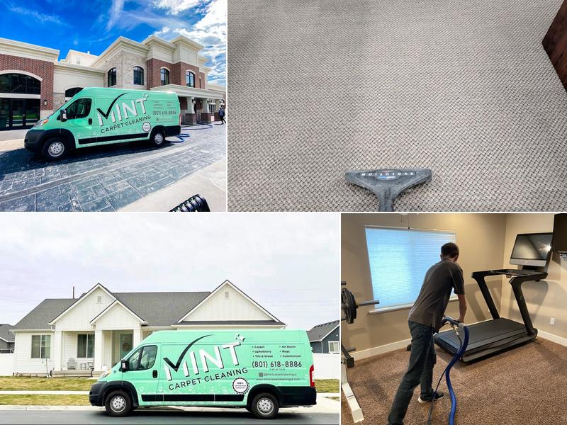 Mint Carpet Cleaning