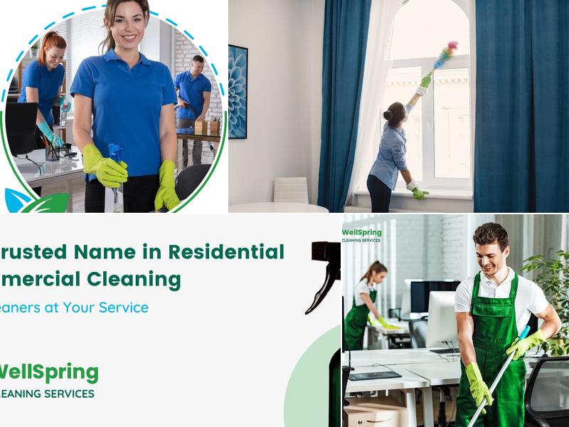 WellSpring Cleaning Services LLC