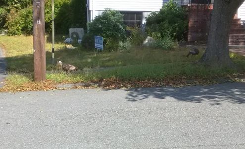 North Shore Builders