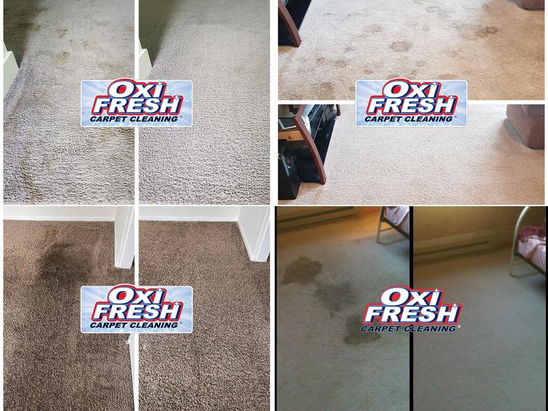 Oxi Fresh Carpet Cleaning