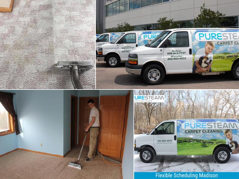 Puresteam Carpet Care