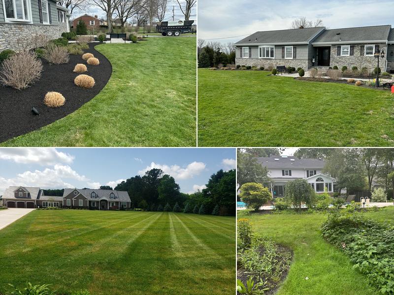 Edin Landscaping and Design