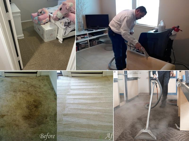 Clean Touch Carpet Services
