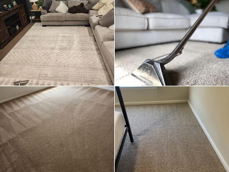 Alexa From Texas Carpet Cleaning