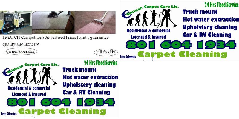 Evolution Carpet Care Llc