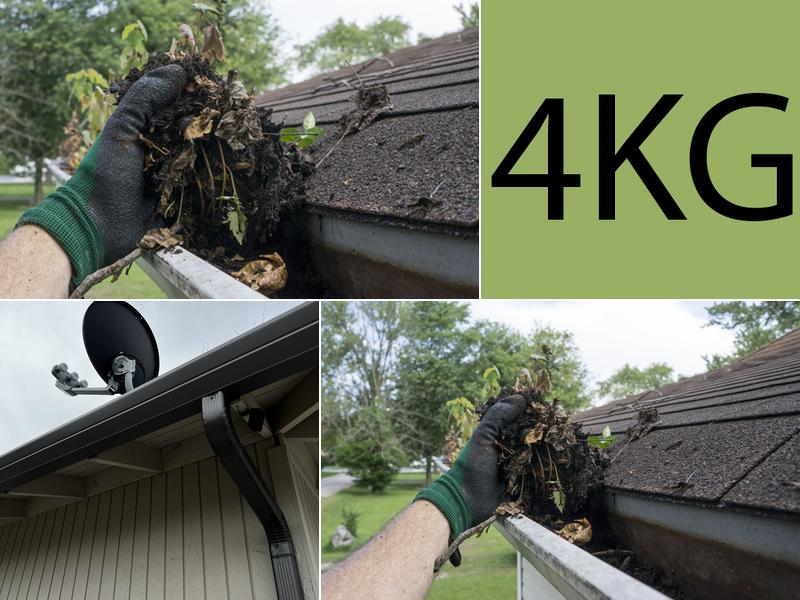 4 Kiwis Gutters LLC