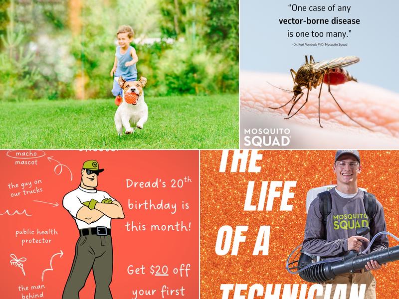 Mosquito Squad of Greater Birmingham