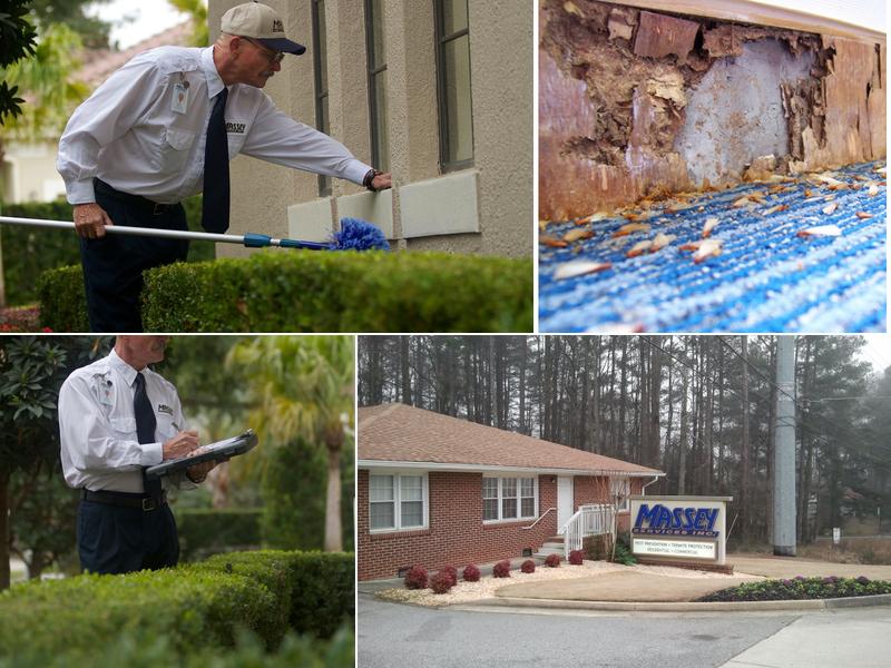 Massey Services Pest Control