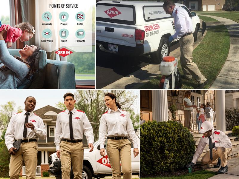 Orkin