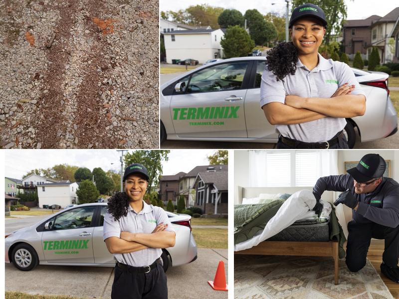 Terminix