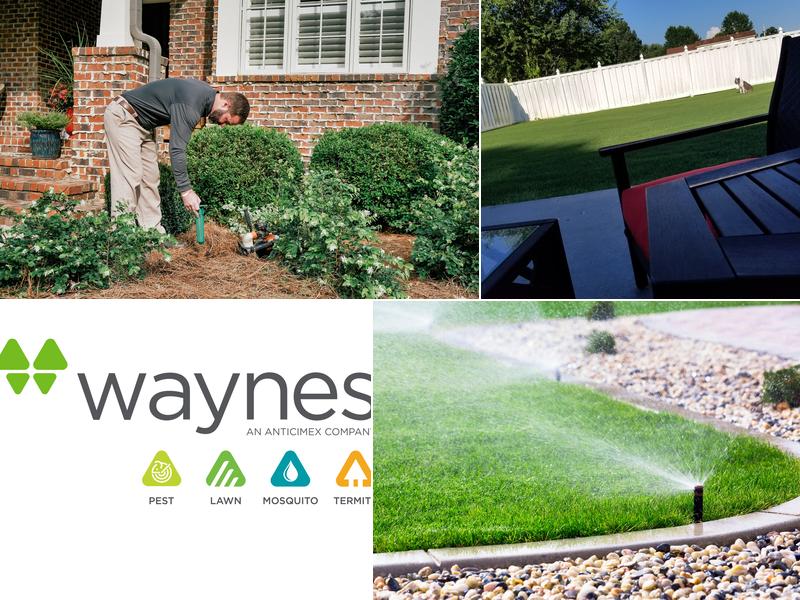 Waynes Pest Control