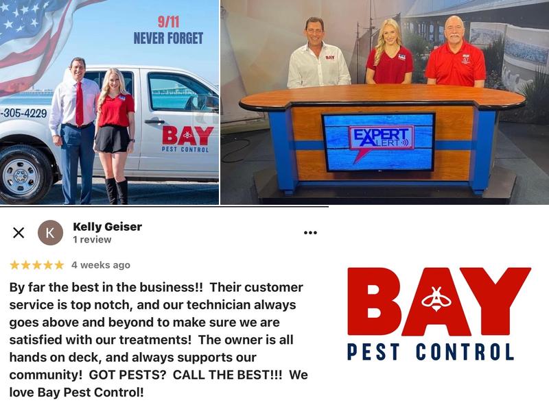 Bay Pest Control
