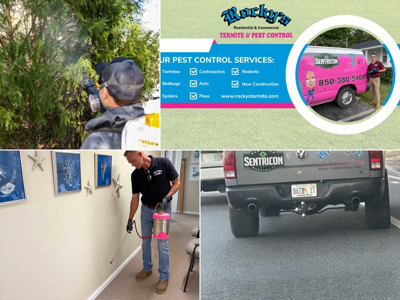 Rocky's Termite And Pest Control