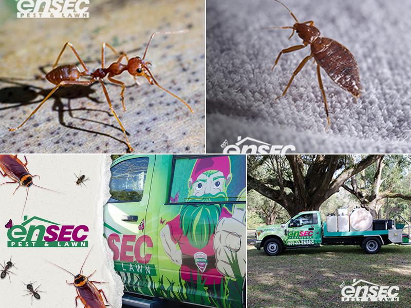 EnSec Pest & Lawn, Mobile