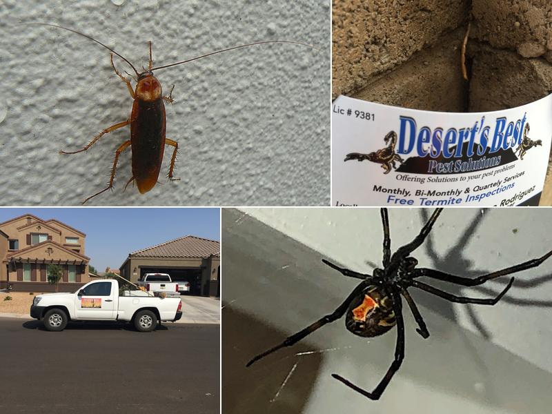 Deserts Best Pest Solutions